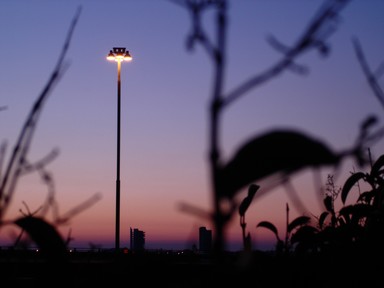 Thomas Woods; Daylight Departing: Lights over Ponsonby